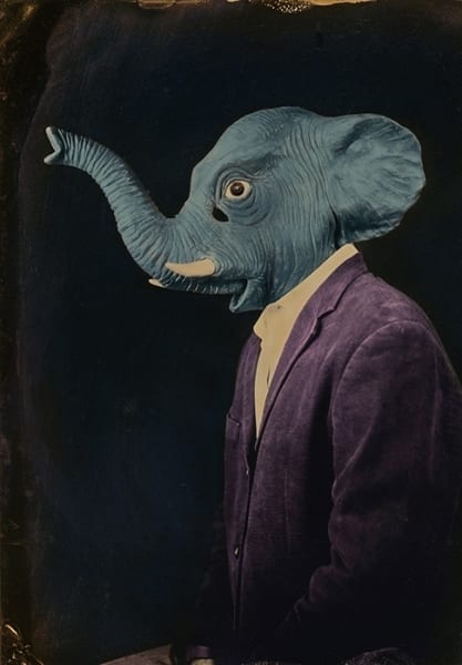 burlton_laura_mr-elephant-forgets